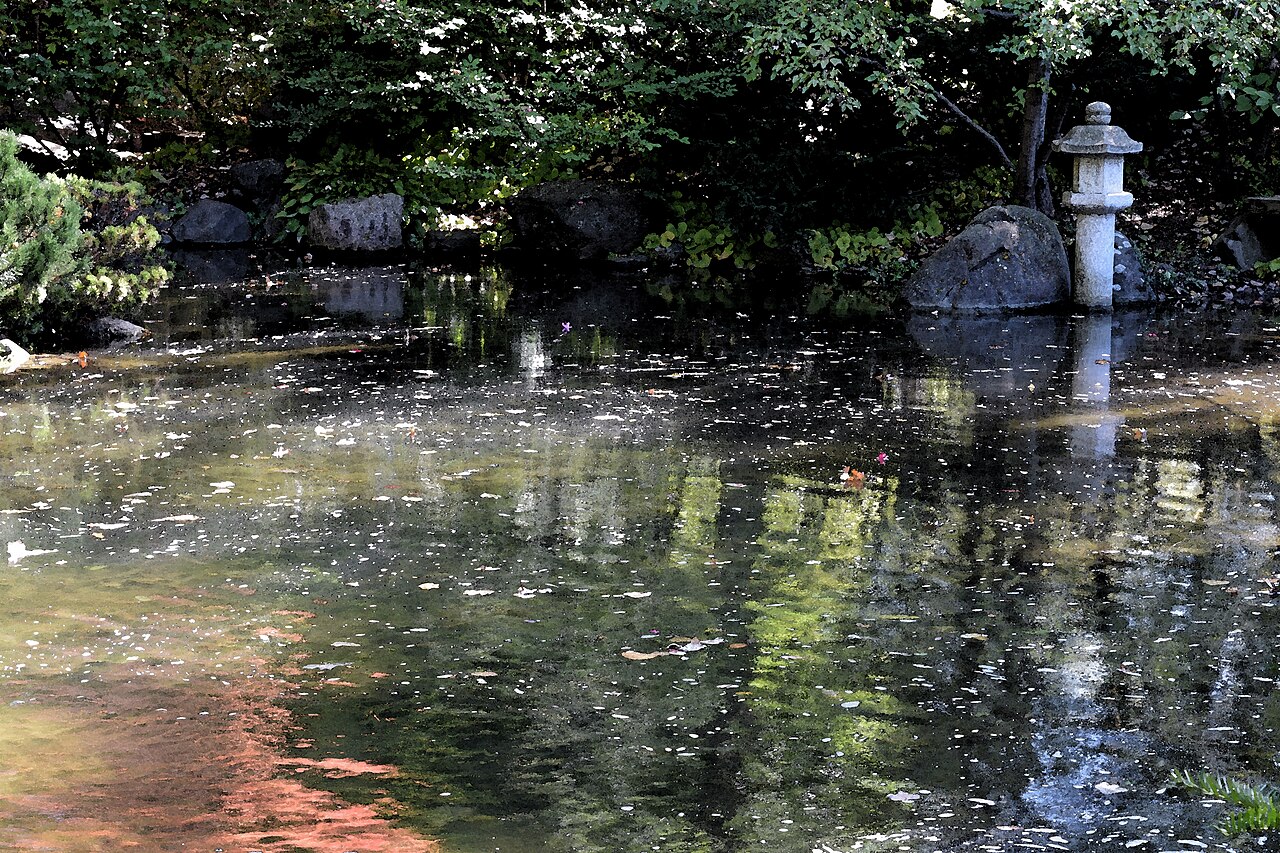 Anderson Japanese Gardens Rockford Illinois
