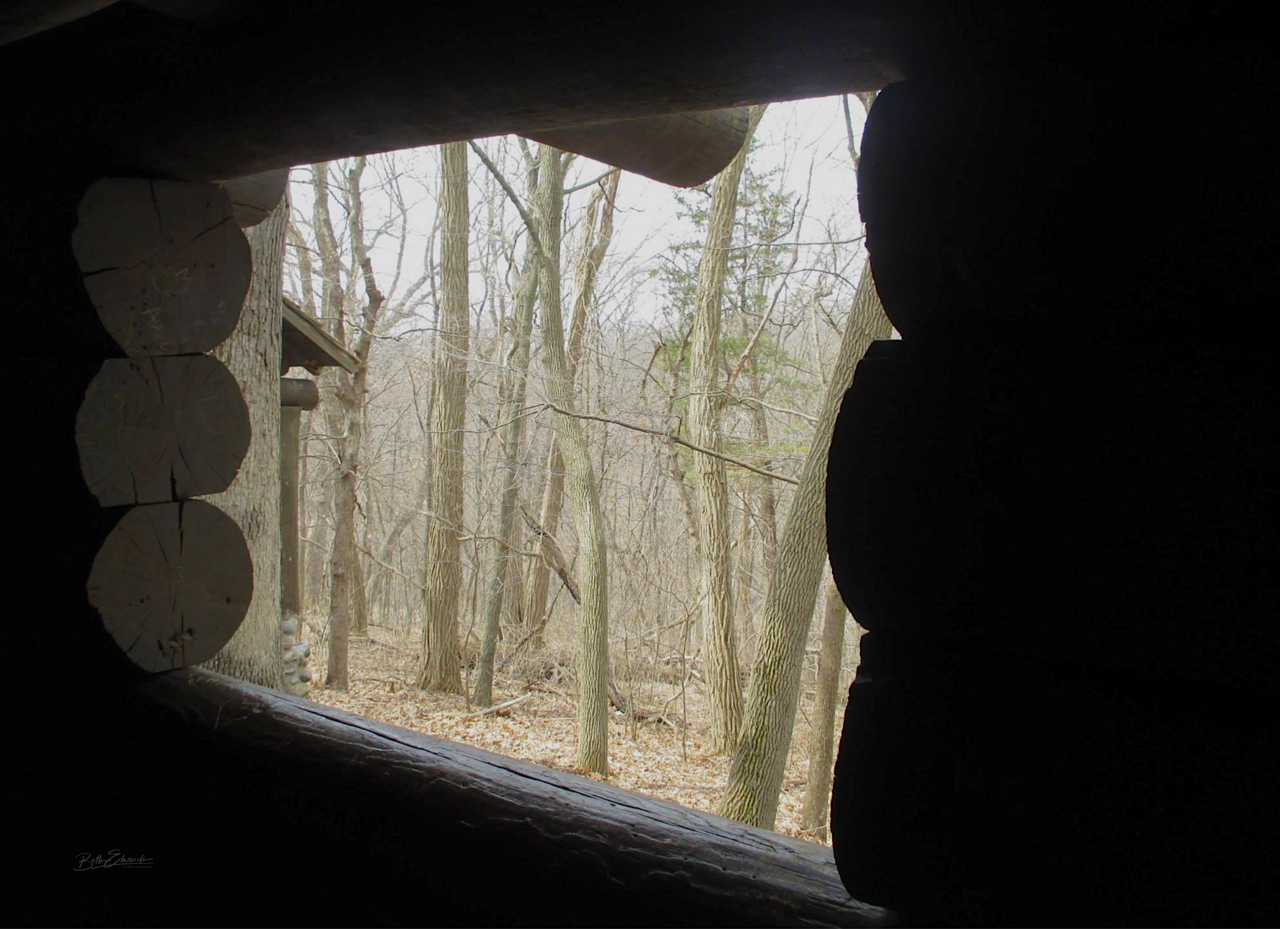 Log Cabin Lookout at Matthiessen State Park