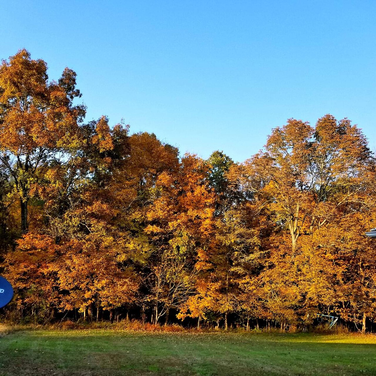 Shawnee National Forest, Pope County Illinois "One Horse Gap " area (43814770910)
