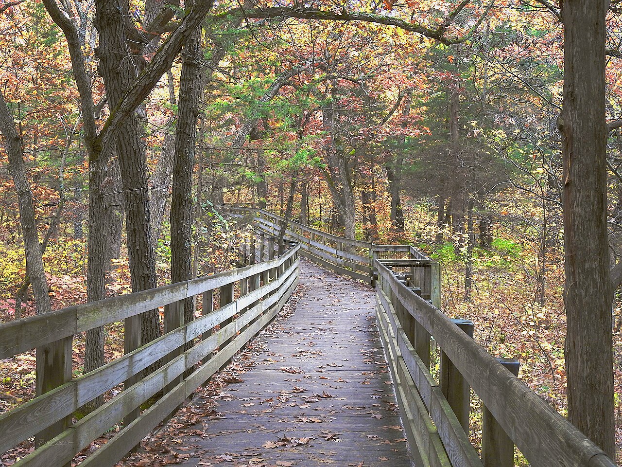 Trail Vista by the Rock, Starved Rock State Park