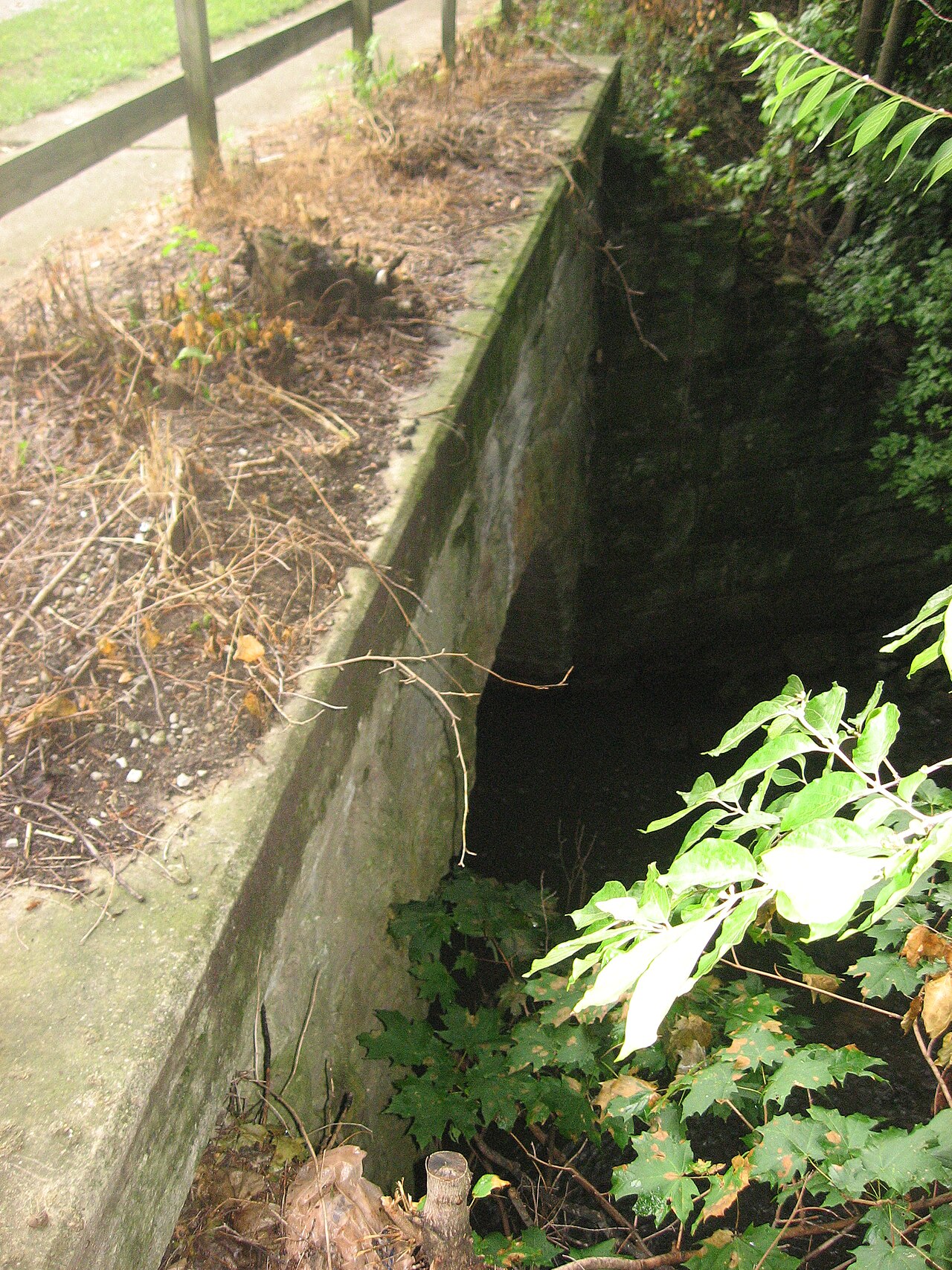 Eastern side of the Sixth Street Stone Arch Bridge , which carries Sixth Street over a small creek in Charleston , Illinois , United States