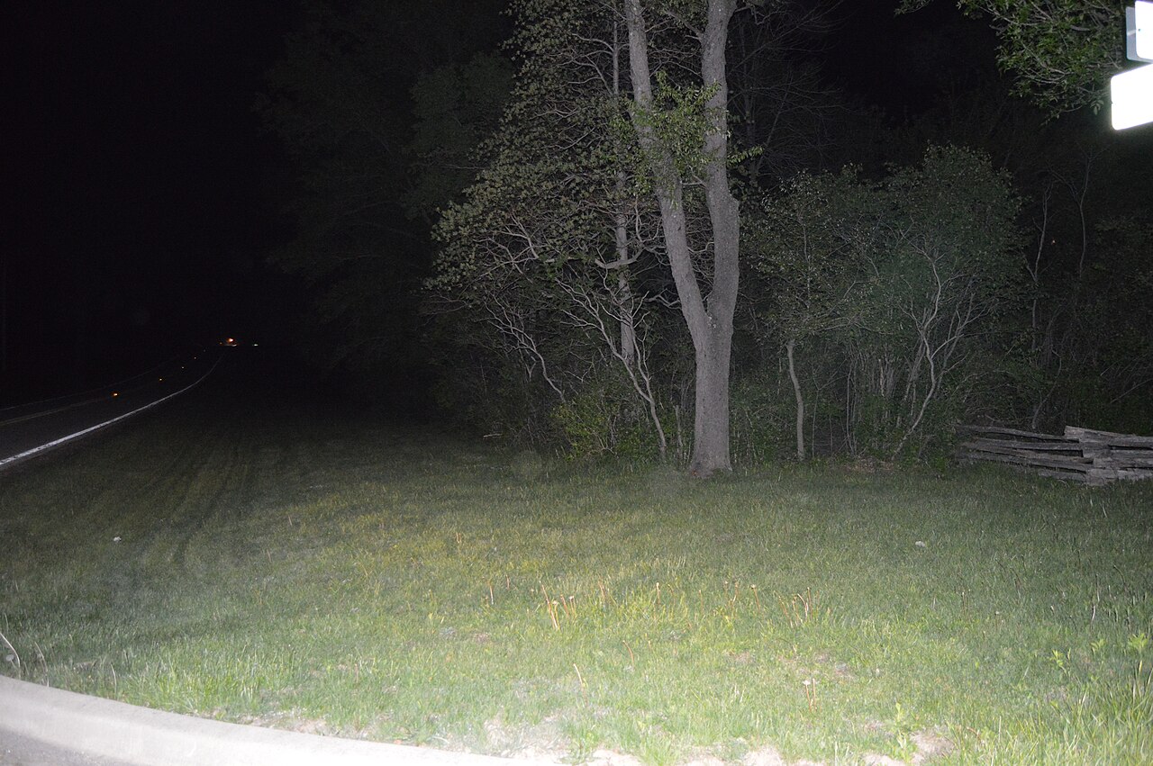 Roadside portion of the Civilian Conservation Corps Camp Shiloh Encampment Site, located at Lincoln Log Cabin State Historic Site in Coles County , Illinois , United States