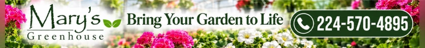 Mary's Greenhouse premium banner